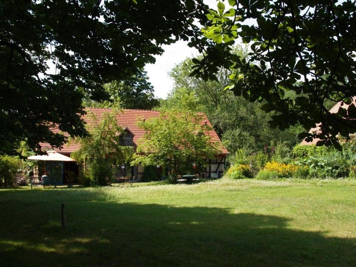 Ferienwohnung Am Roten Schloss Glashutte  Extérieur photo